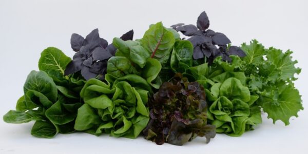 Spinach