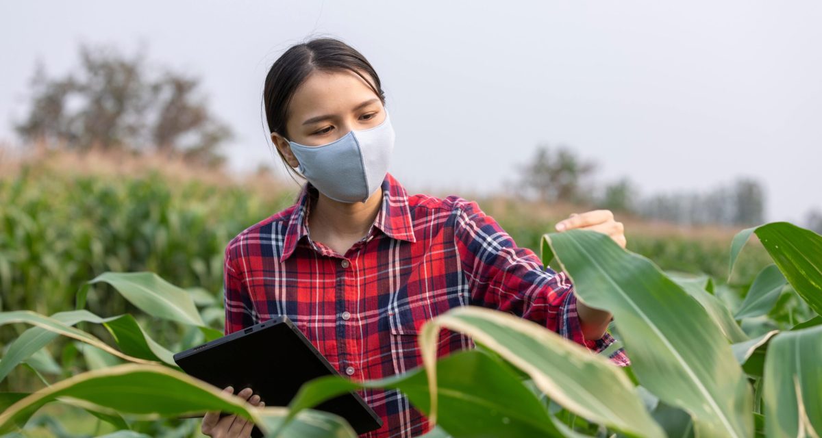 smart-farming-2022-04-12-02-08-11-utc-min smart-farming-2022-04-12-02-08-11-utc-min
